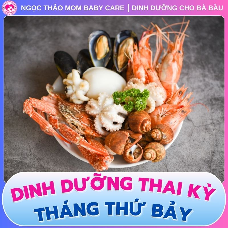 Hải sản cho dinh dưỡng thai kỳ tháng thứ 7